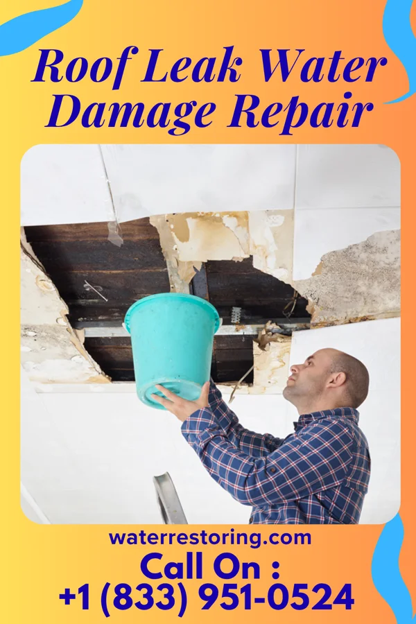 Roof Leak Water Damage Repair in Jefferson City, TN