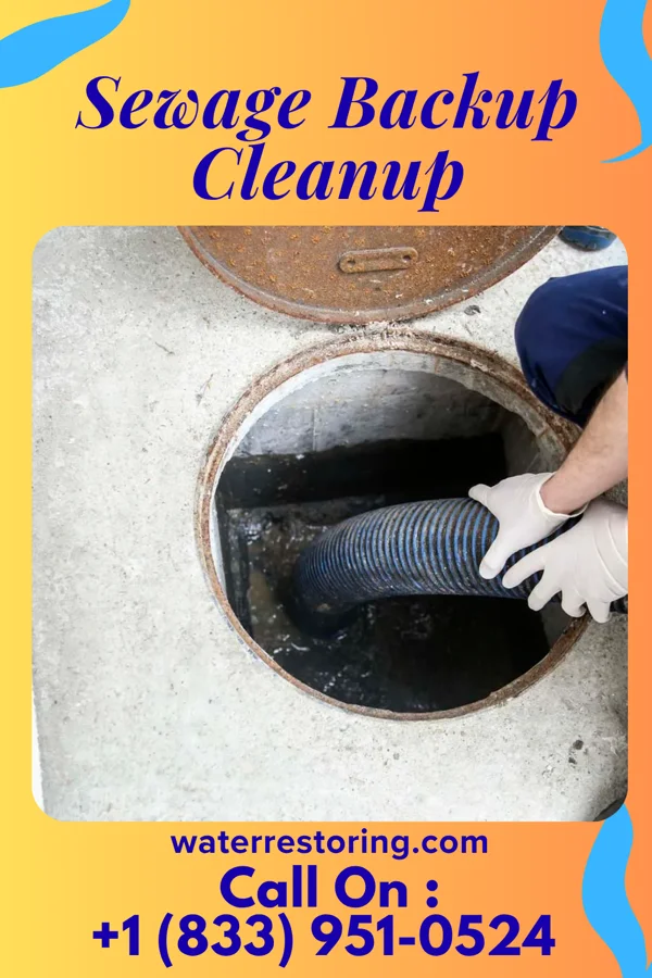 Sewage Backup Cleanup in Jefferson City, TN