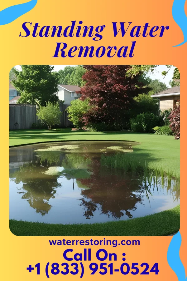 Standing Water Removal in Jefferson City, TN